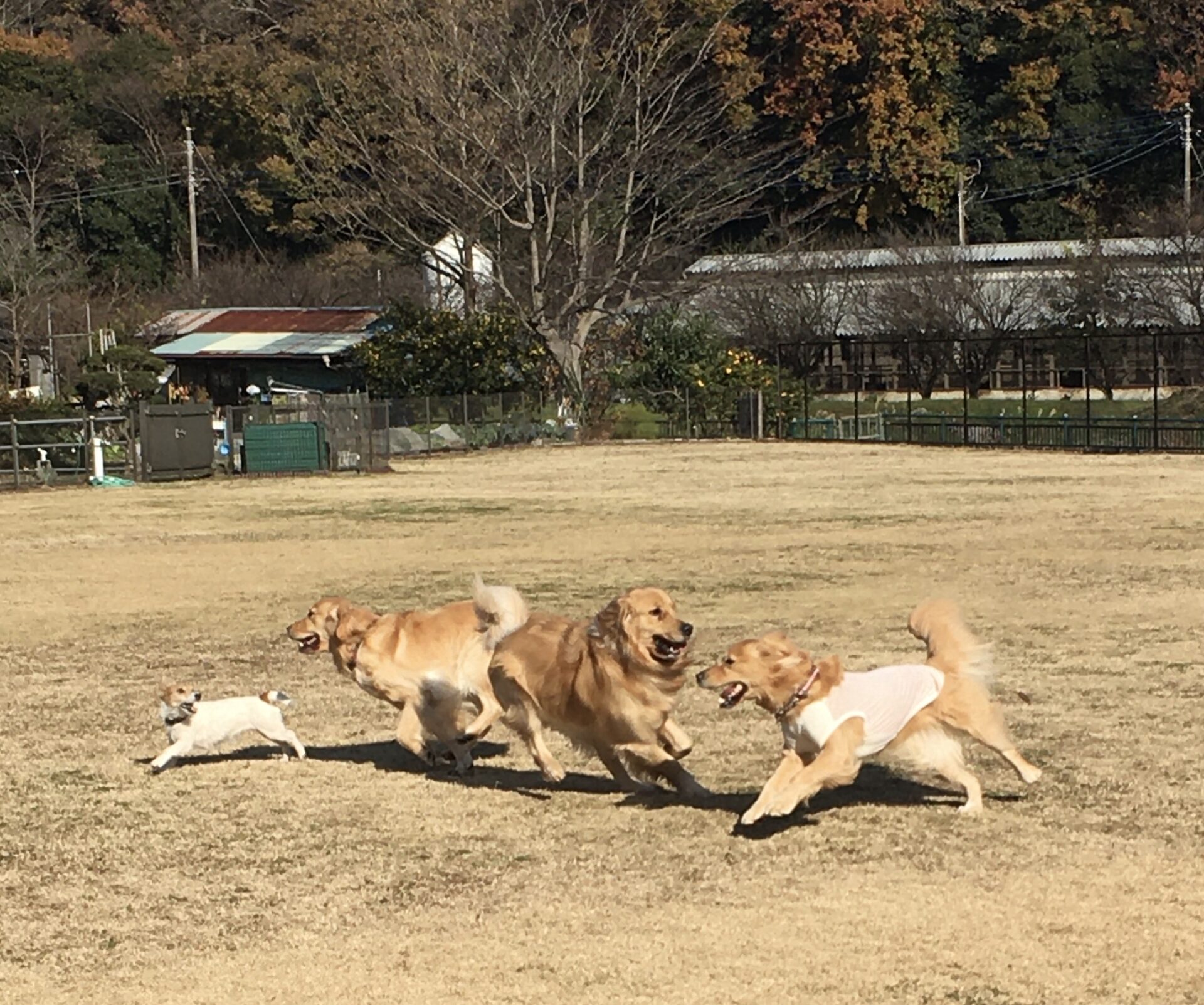 ファイル 8229-3.jpeg