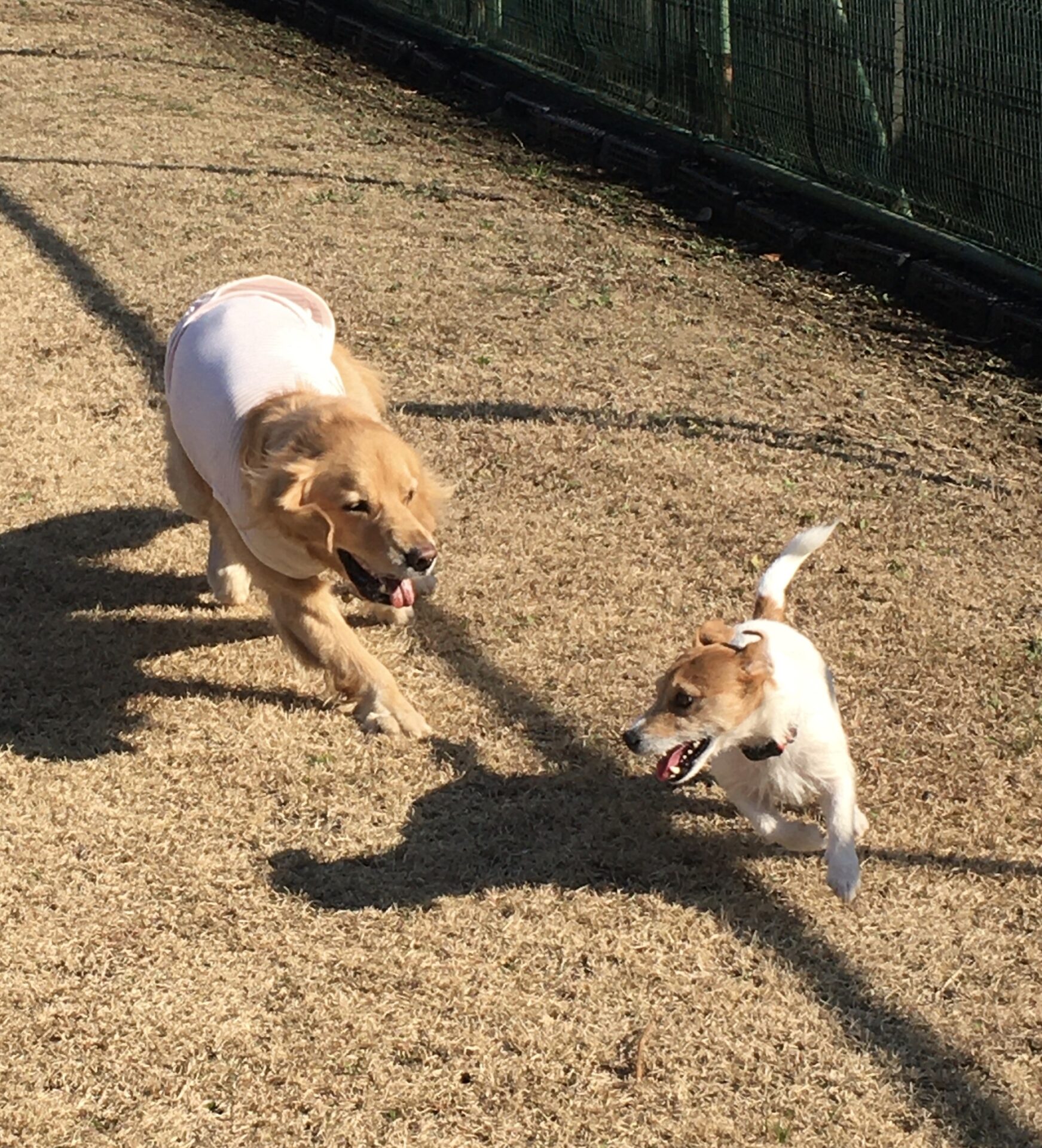 ファイル 8229-4.jpeg