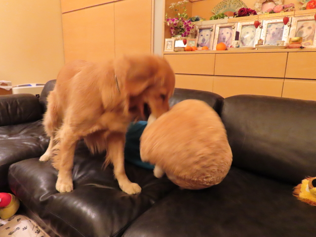 ファイル 8230-2.jpg