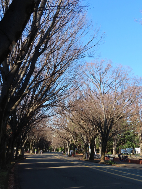 ファイル 8231-2.jpg