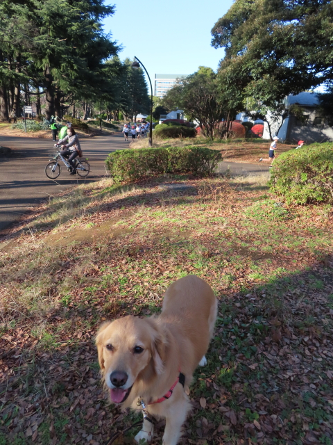 ファイル 8231-5.jpg