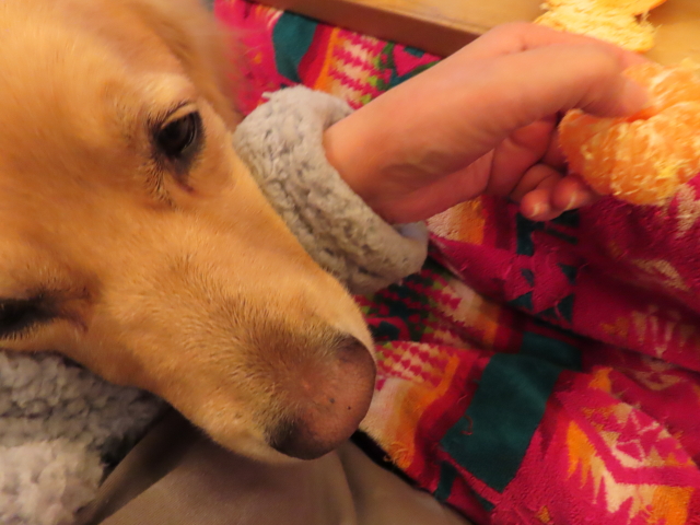 ファイル 8232-3.jpg