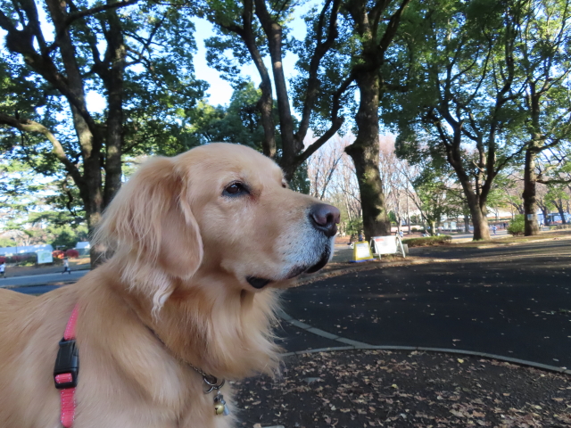 ファイル 8232-5.jpg