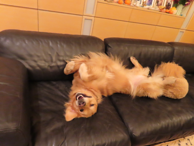 ファイル 8233-2.jpg