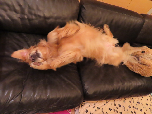 ファイル 8233-4.jpg