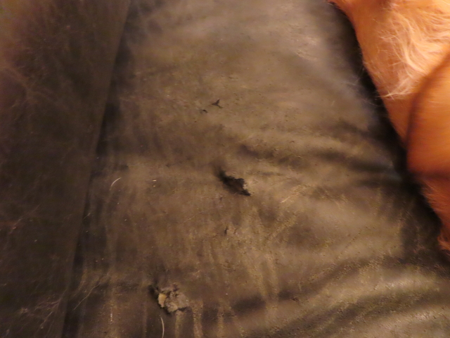 ファイル 8233-5.jpg