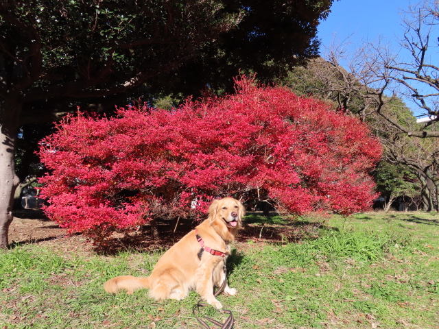 ファイル 8235-1.jpg