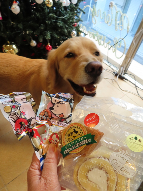 ファイル 8235-4.jpg