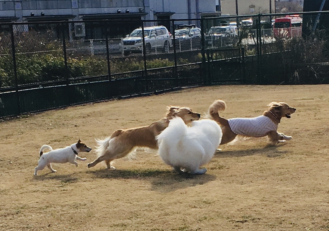 ファイル 8236-1.jpeg