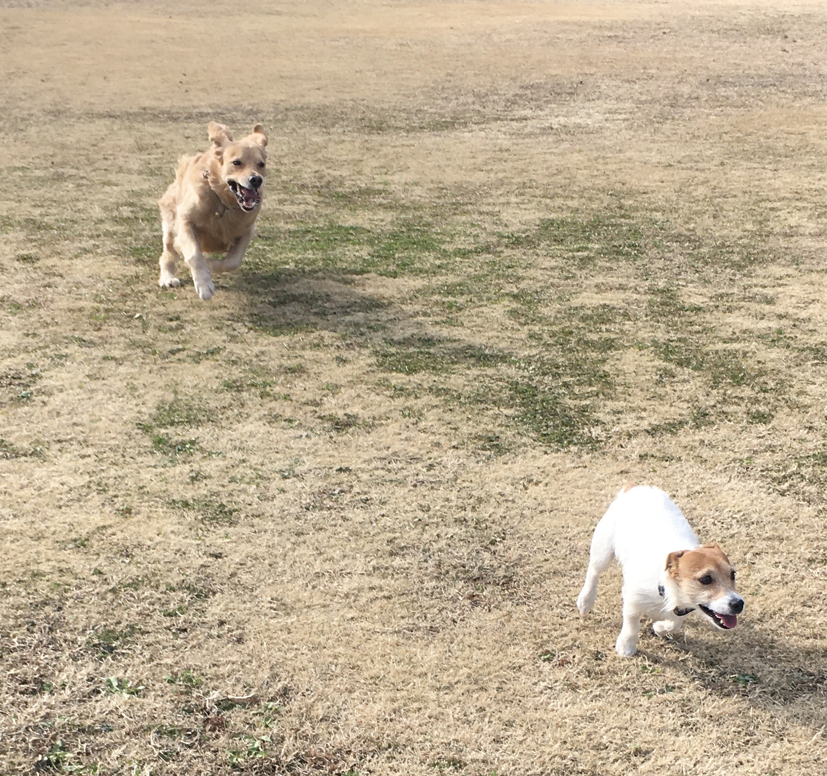 ファイル 8236-2.jpeg