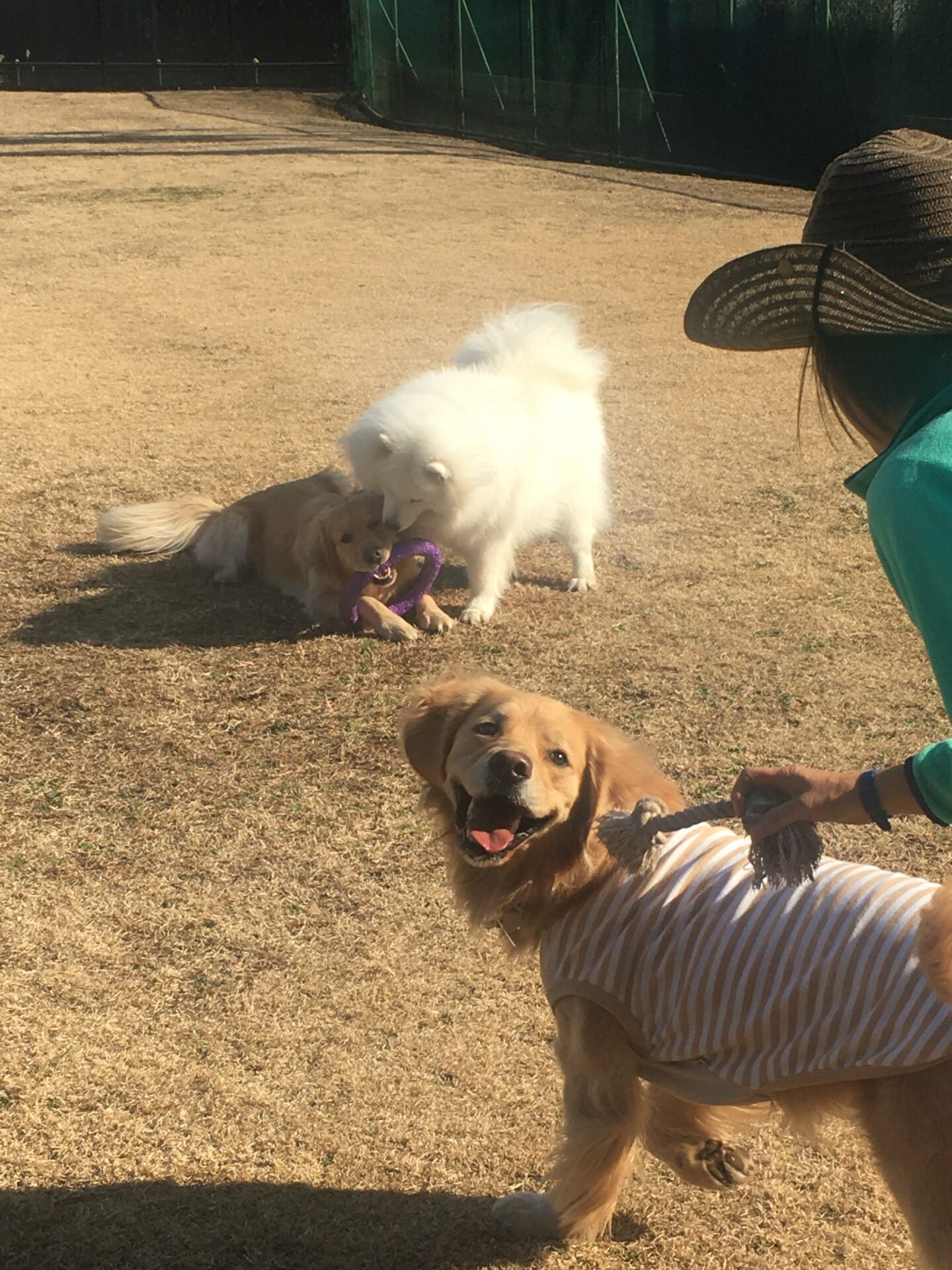 ファイル 8236-5.jpeg