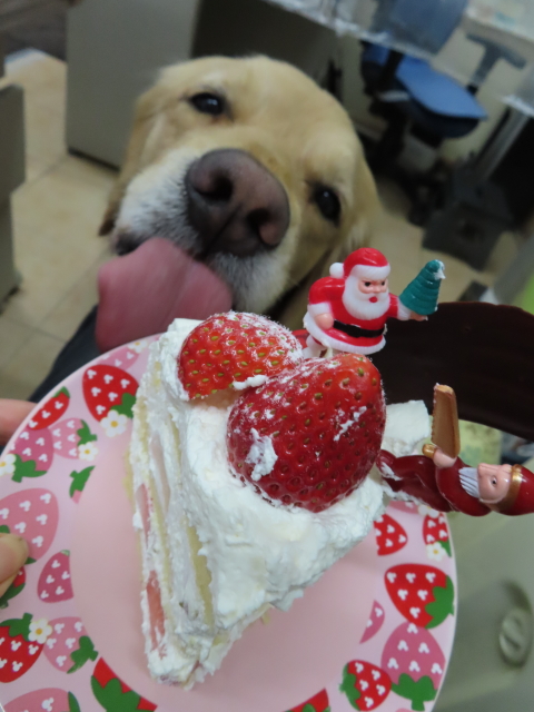 ファイル 8237-1.jpg