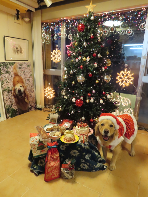 ファイル 8237-2.jpg