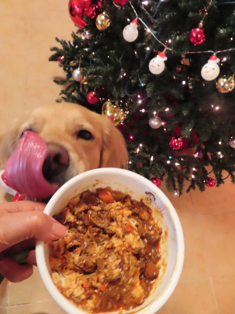 ファイル 8237-4.jpg