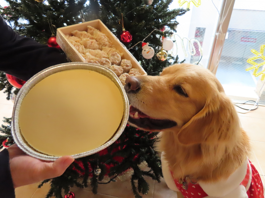 ファイル 8238-4.jpg