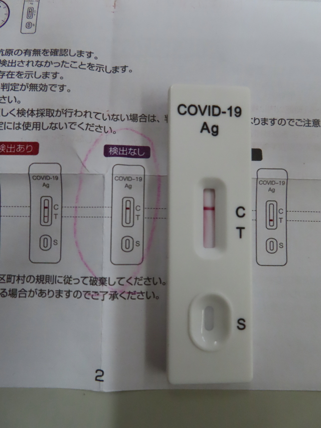 ファイル 8239-4.jpg