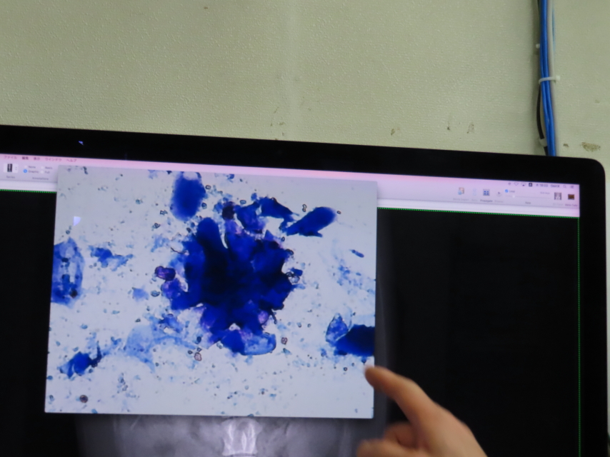 ファイル 8239-5.jpg