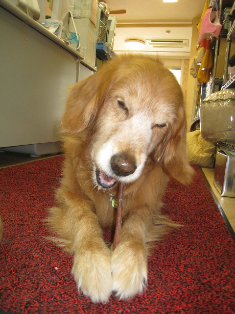 ファイル 824-1.jpg