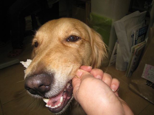 ファイル 824-2.jpg