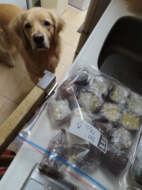 ファイル 8240-3.jpg