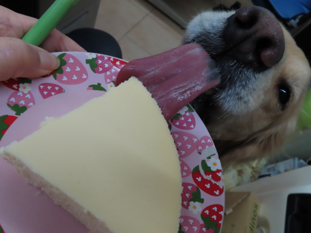 ファイル 8240-5.jpg