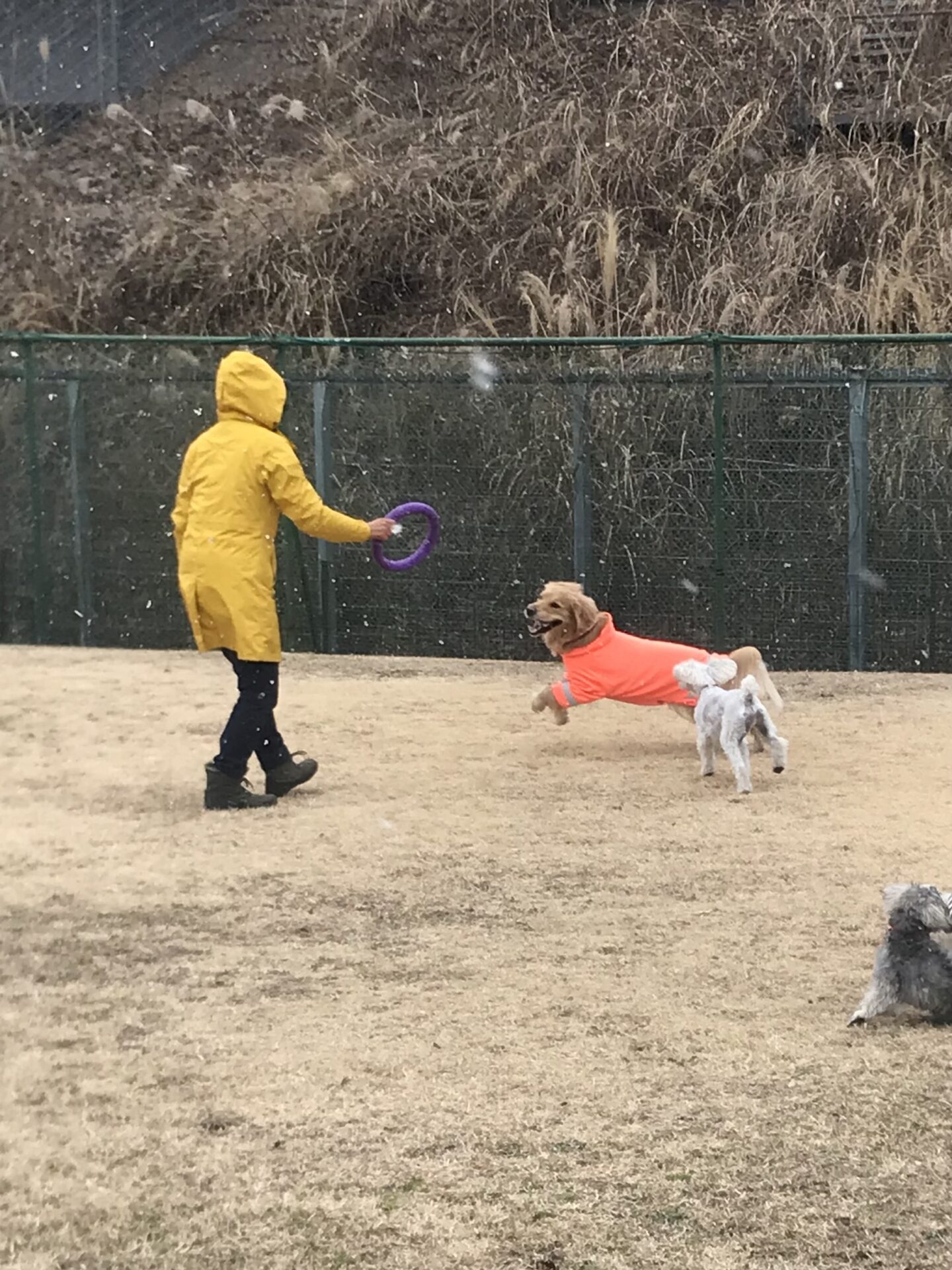 ファイル 8241-4.jpeg