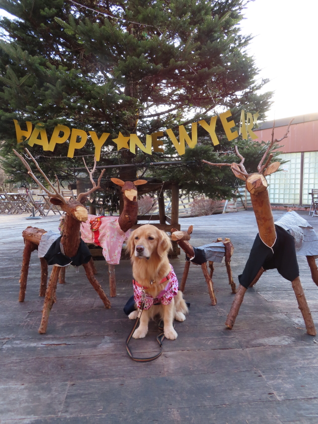 ファイル 8243-4.jpg