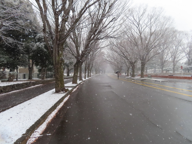 ファイル 8244-1.jpg