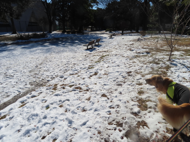 ファイル 8244-4.jpg