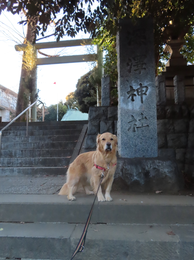 ファイル 8244-5.jpg