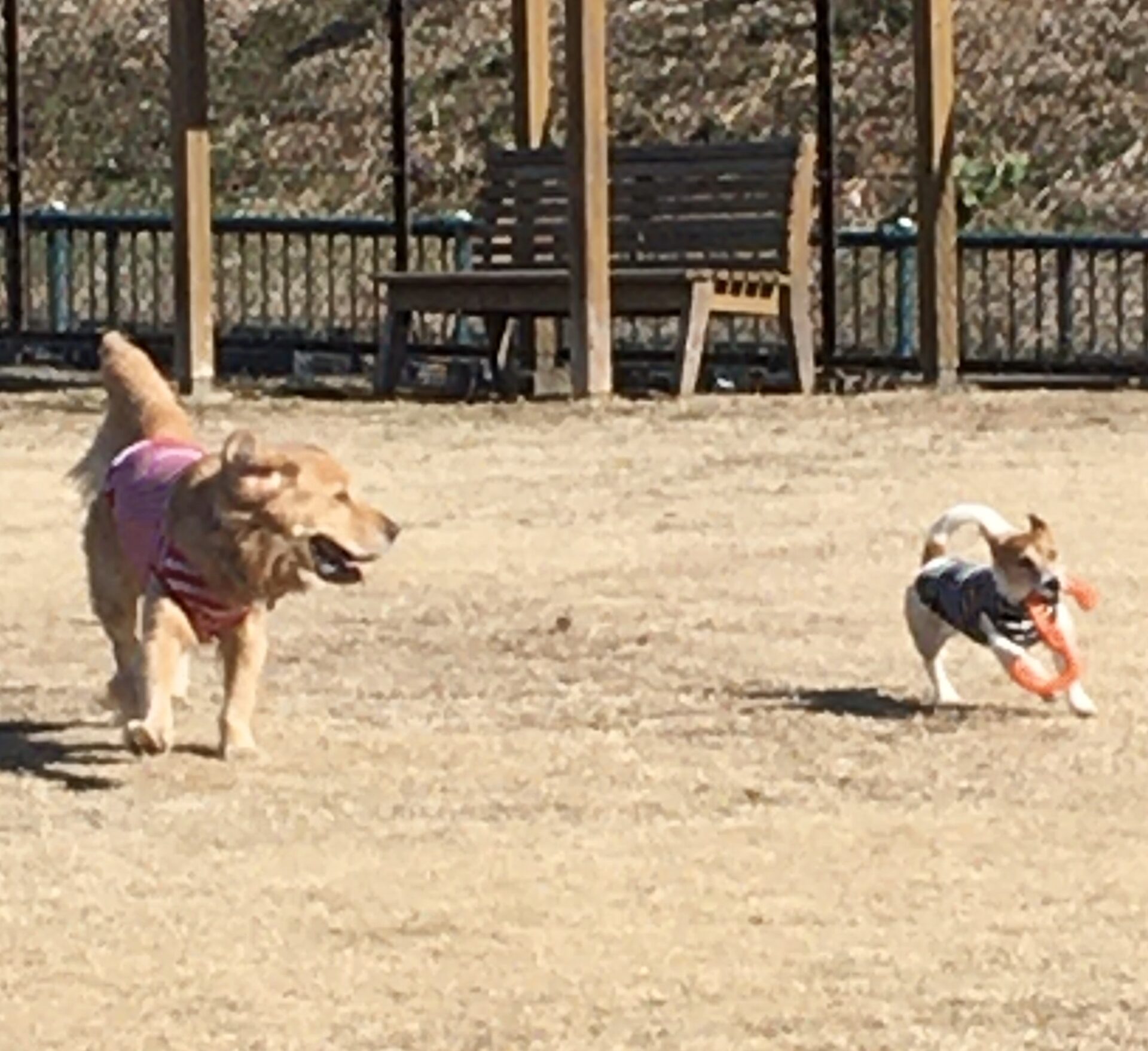 ファイル 8246-4.jpeg