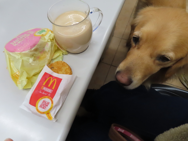 ファイル 8248-1.jpg