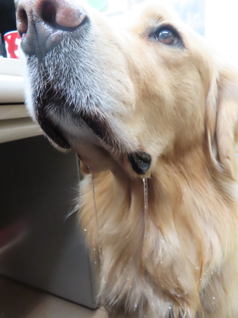 ファイル 8248-2.jpg