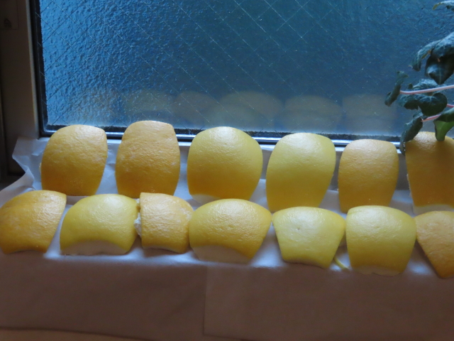 ファイル 8248-4.jpg