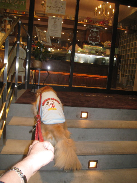 ファイル 825-1.jpg