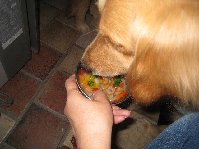 ファイル 825-4.jpg