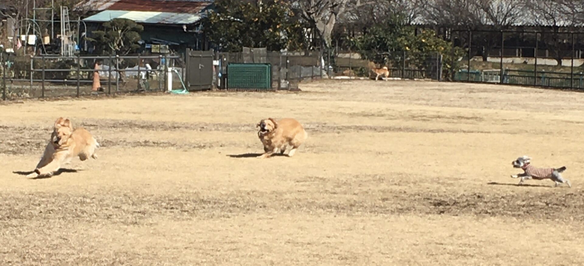 ファイル 8250-3.jpeg