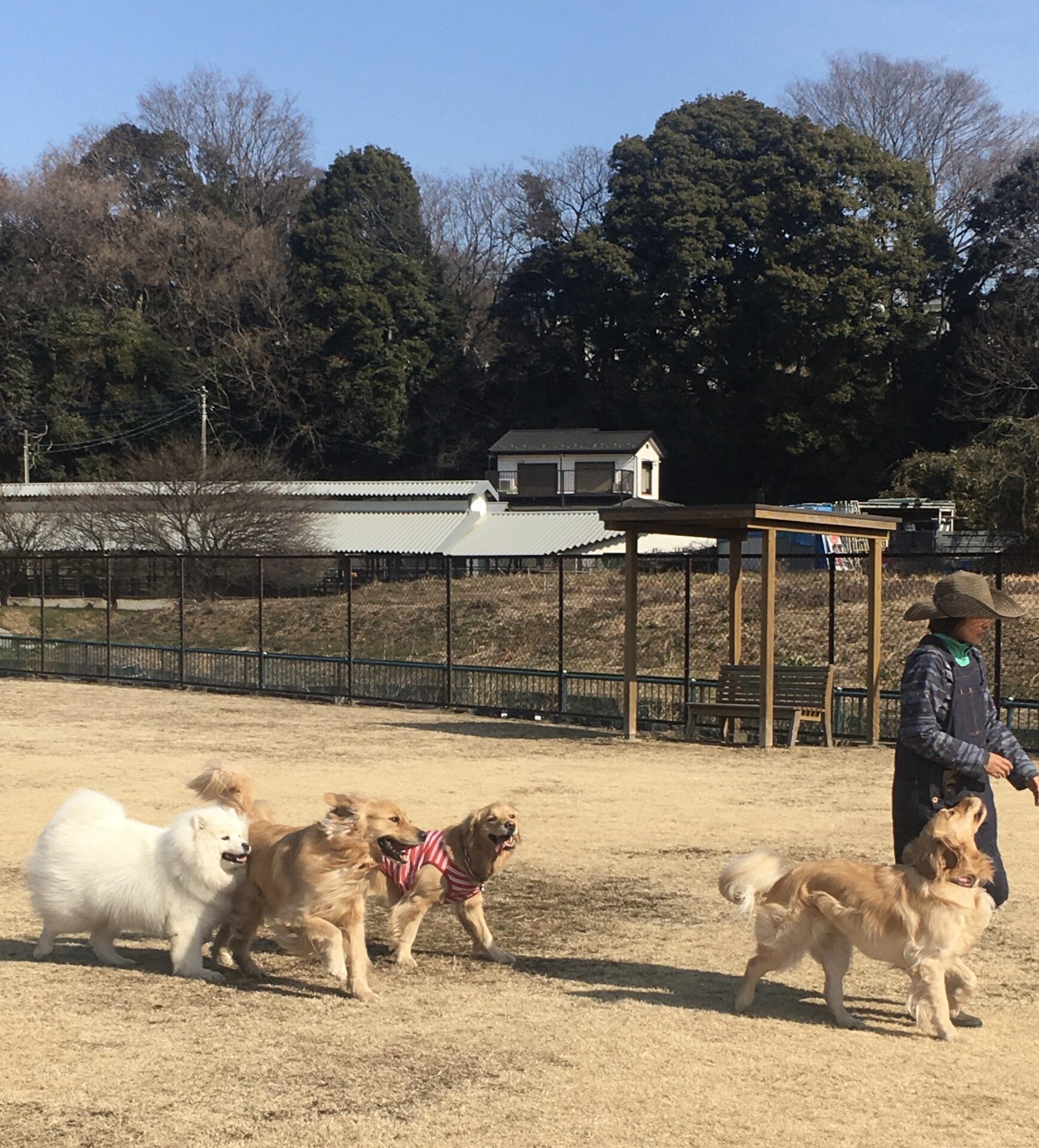 ファイル 8253-1.jpeg