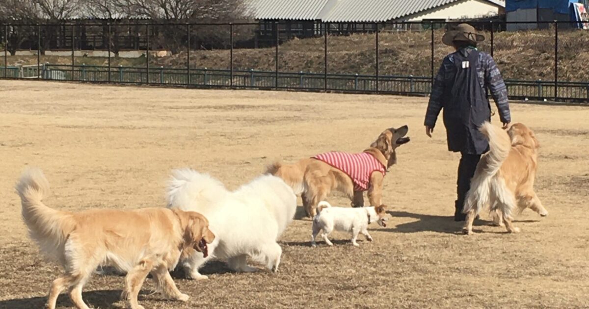 ファイル 8253-3.jpeg