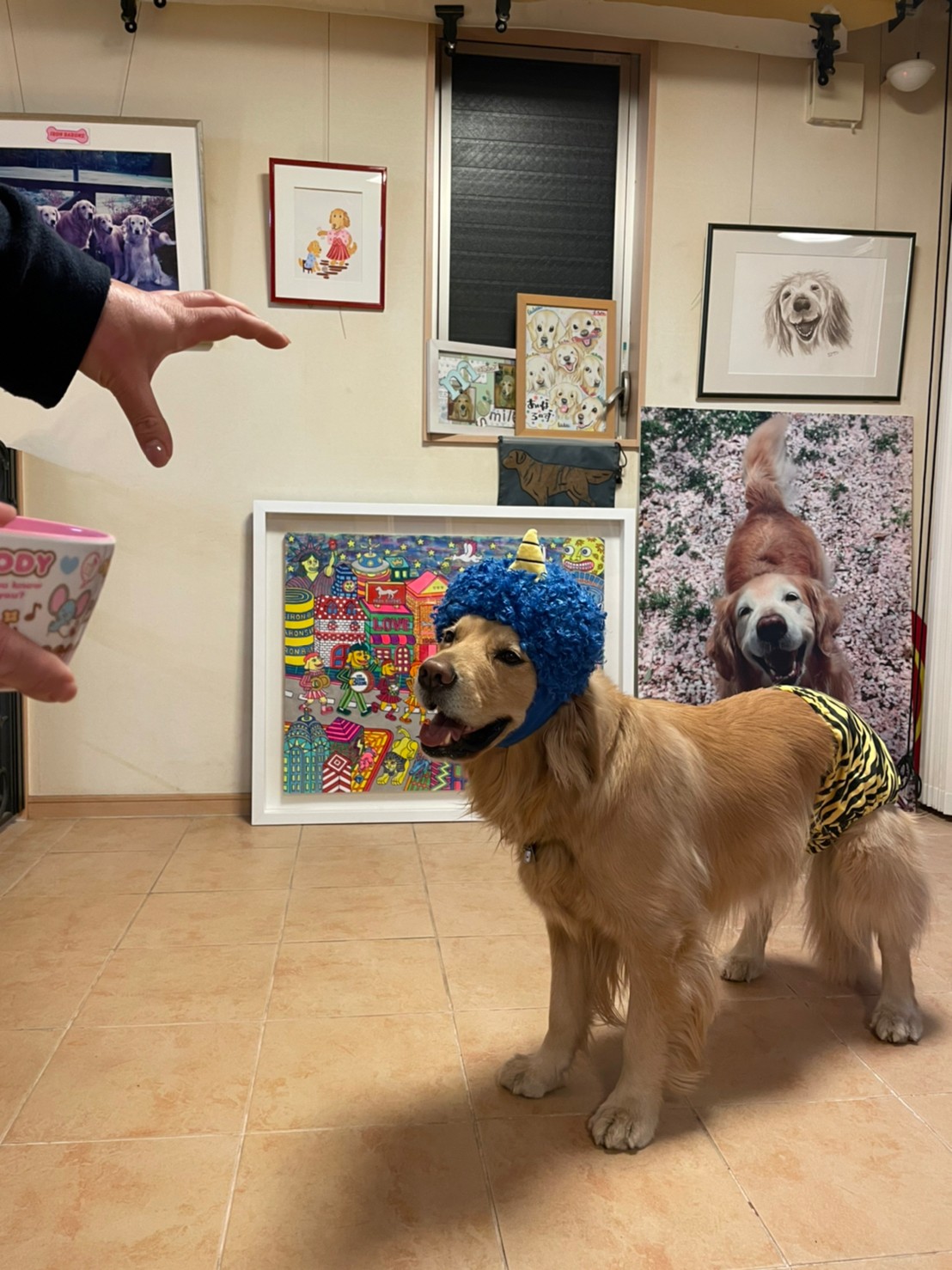 ファイル 8254-1.jpg