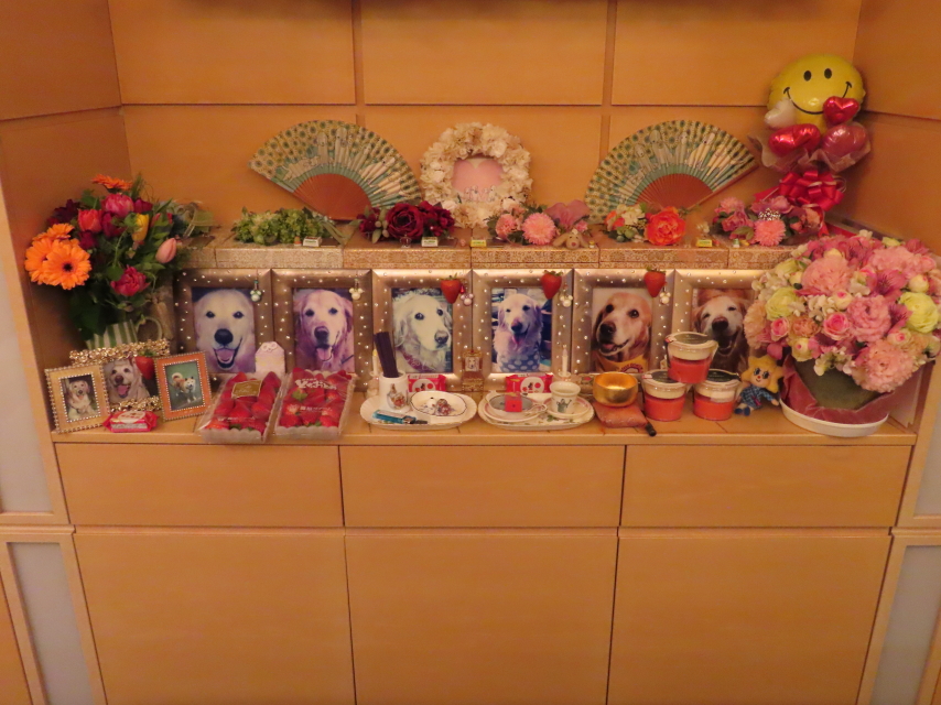 ファイル 8255-3.jpg