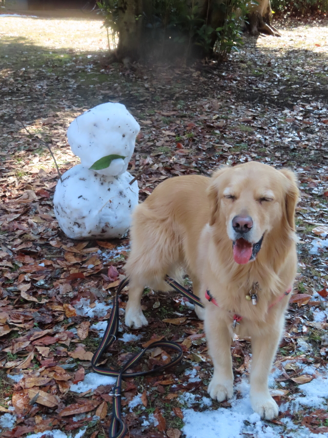 ファイル 8256-4.jpg