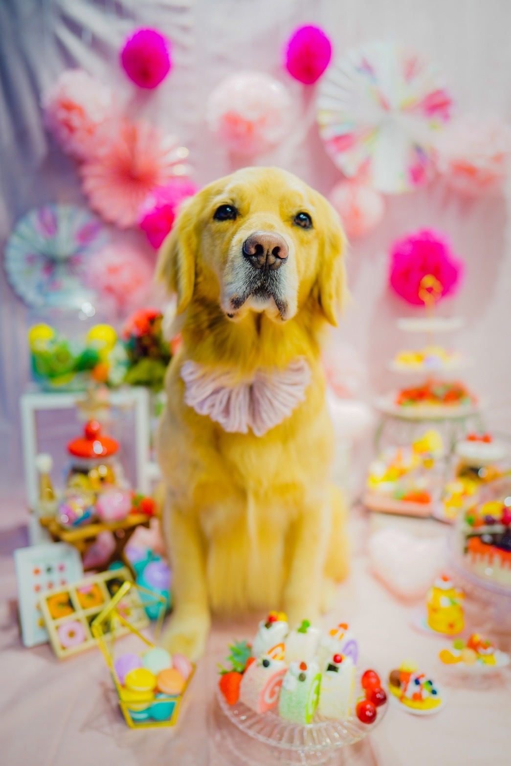 ファイル 8257-2.jpg