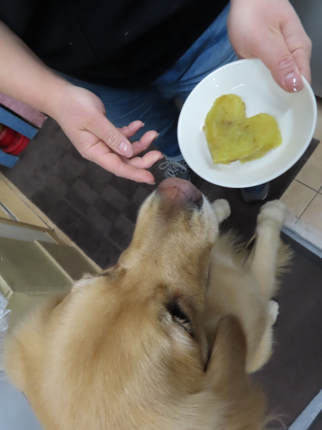 ファイル 8257-4.jpg