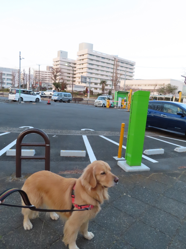 ファイル 8258-3.jpg