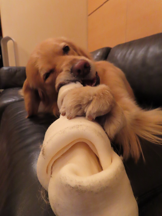 ファイル 8259-3.jpg