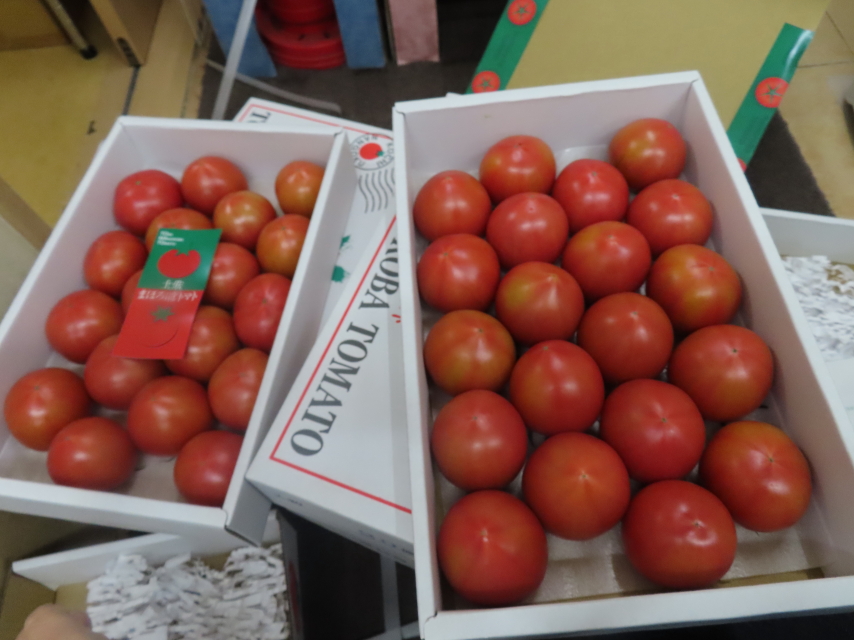 ファイル 8259-5.jpg