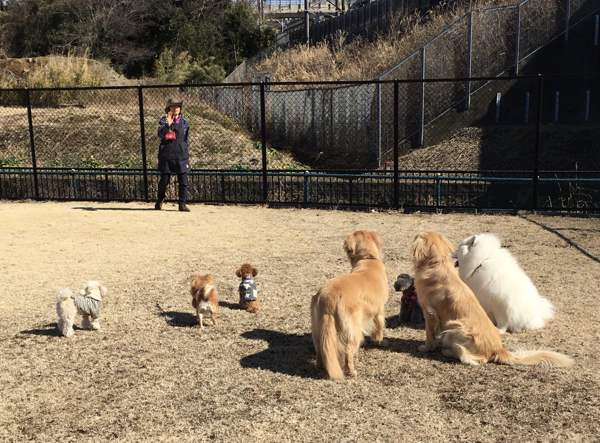 ファイル 8262-1.jpeg