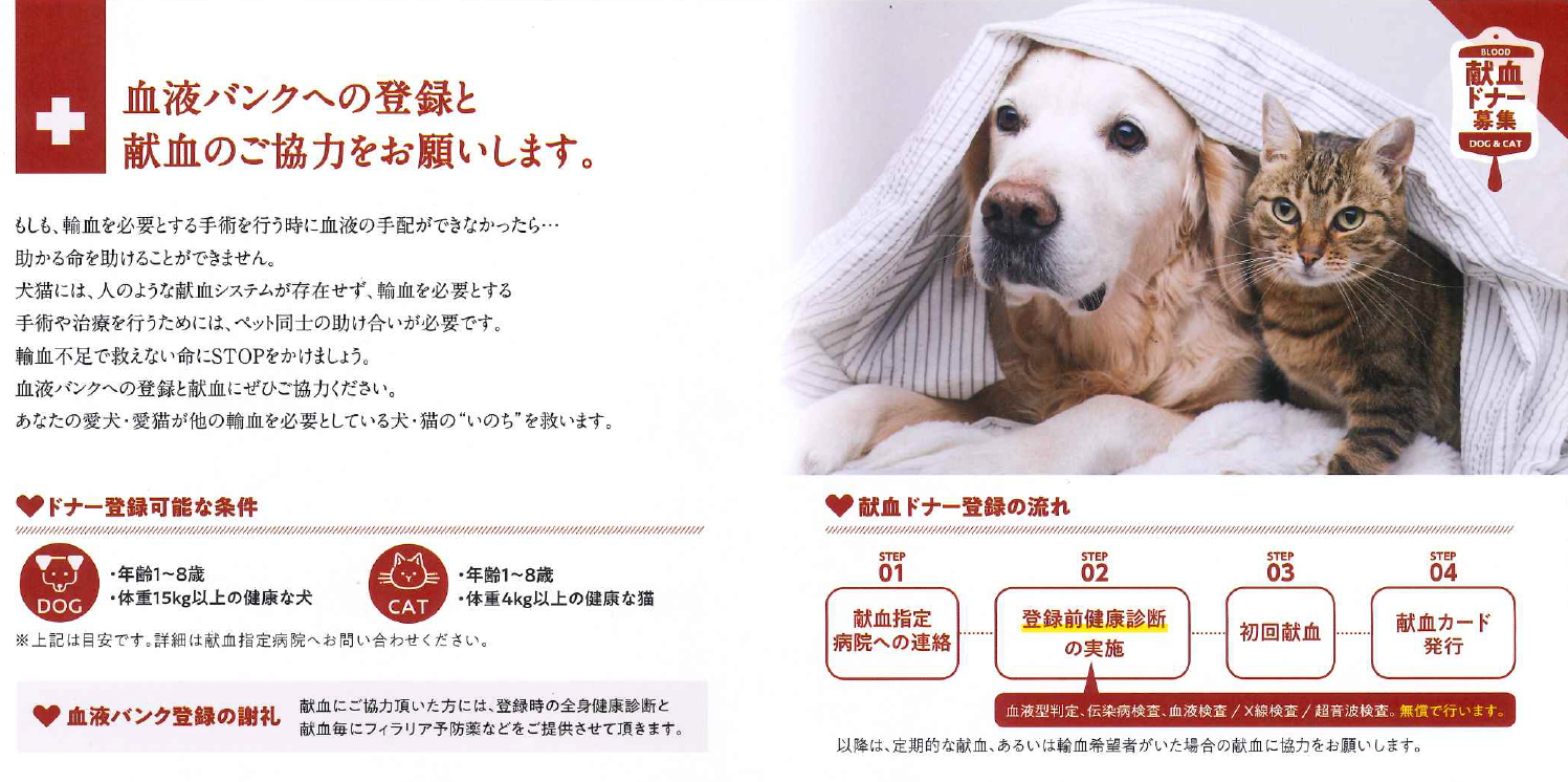 ファイル 8263-2.jpg