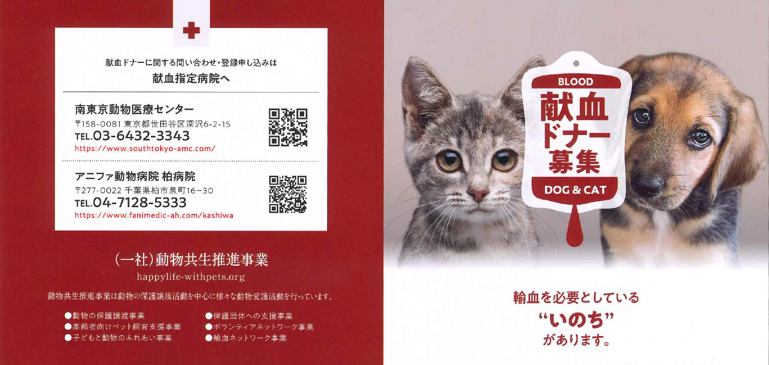 ファイル 8263-3.jpg